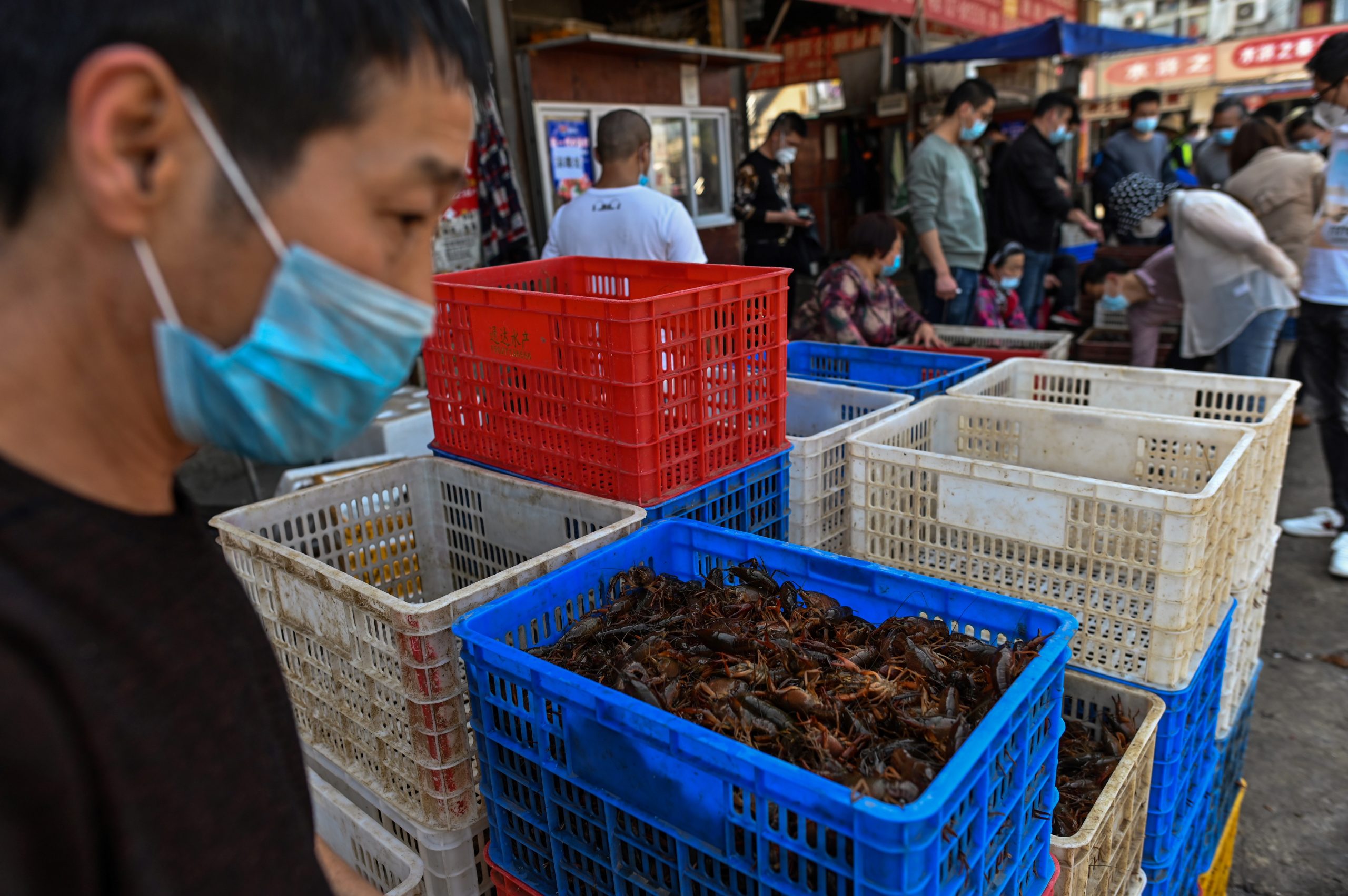 Mercados de alimentos en Wuhan, China luchan contra el coronavirus
